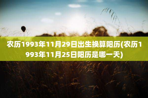 农历1993年11月29日出生换算阳历(农历1993年11月25日阳历是哪一天)
