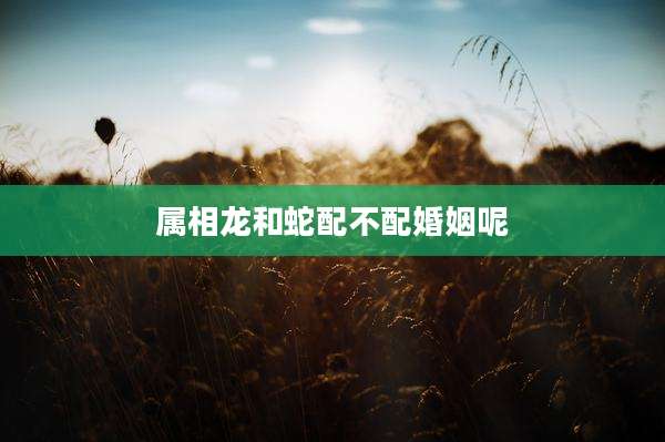 属相龙和蛇配不配婚姻呢