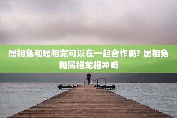 属相兔和属相龙可以在一起合作吗? 属相兔和属相龙相冲吗