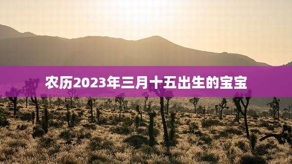 农历2023年三月十五出生的宝宝