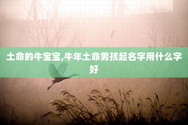 土命的牛宝宝,牛年土命男孩起名字用什么字好