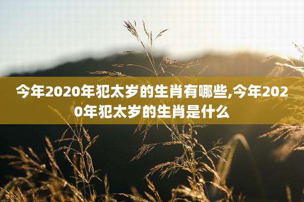 今年2020年犯太岁的生肖有哪些,今年2020年犯太岁的生肖是什么