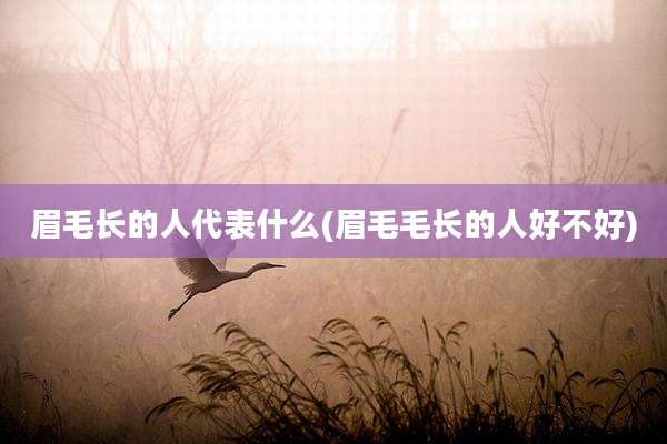 眉毛长的人代表什么(眉毛毛长的人好不好)