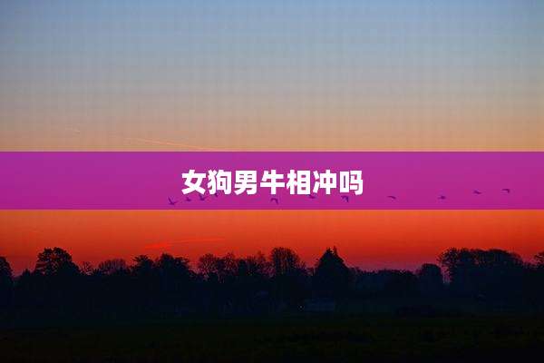 女狗男牛相冲吗