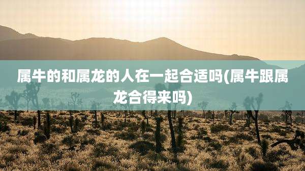 属牛的和属龙的人在一起合适吗(属牛跟属龙合得来吗)