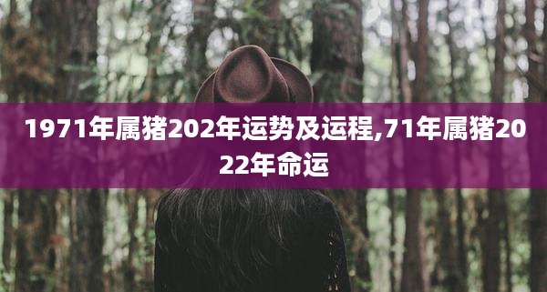 1971年属猪202年运势及运程,71年属猪2022年命运