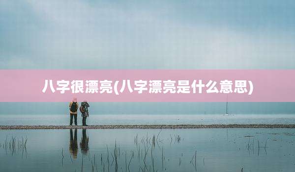 八字很漂亮(八字漂亮是什么意思)