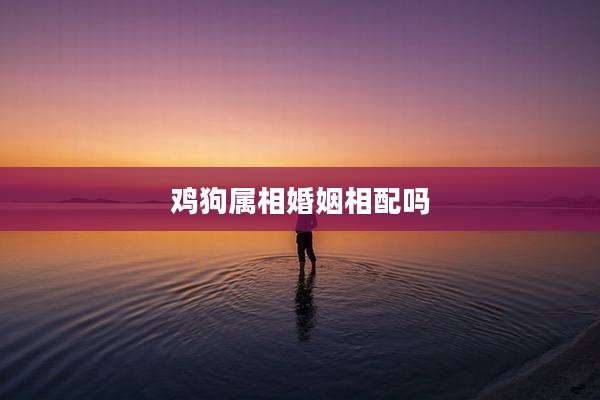 鸡狗属相婚姻相配吗