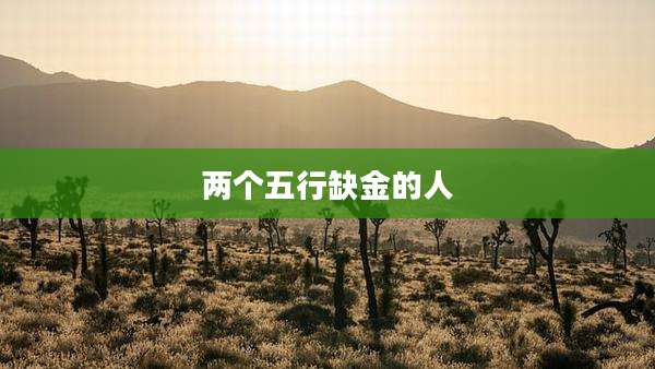 两个五行缺金的人