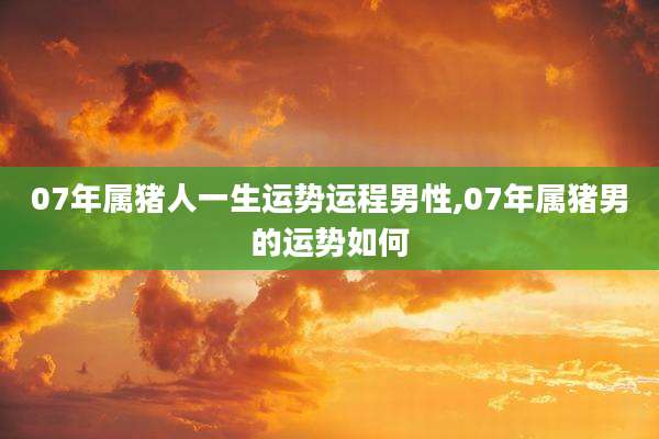 07年属猪人一生运势运程男性,07年属猪男的运势如何