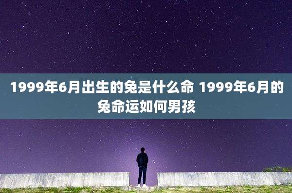 1999年6月出生的兔是什么命 1999年6月的兔命运如何男孩