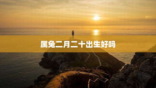 属兔二月二十出生好吗