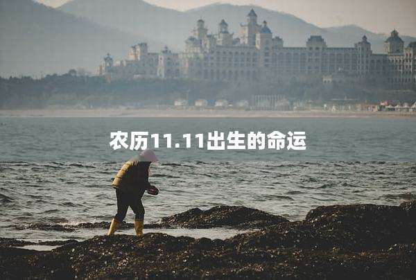 农历11.11出生的命运