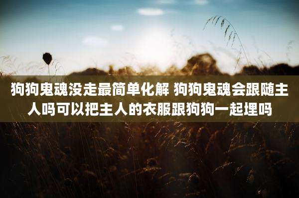 狗狗鬼魂没走最简单化解 狗狗鬼魂会跟随主人吗可以把主人的衣服跟狗狗一起埋吗