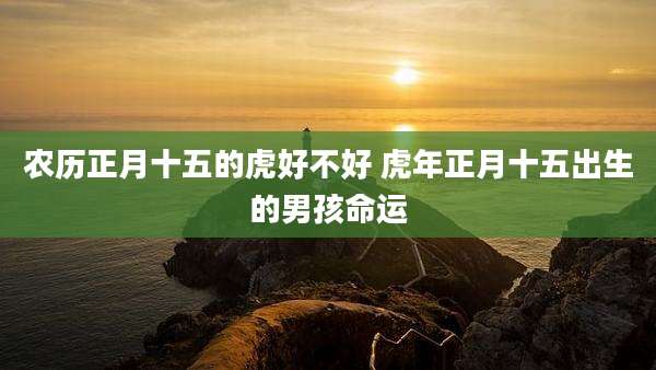 农历正月十五的虎好不好 虎年正月十五出生的男孩命运