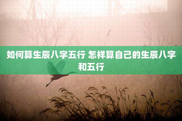 如何算生辰八字五行 怎样算自己的生辰八字和五行