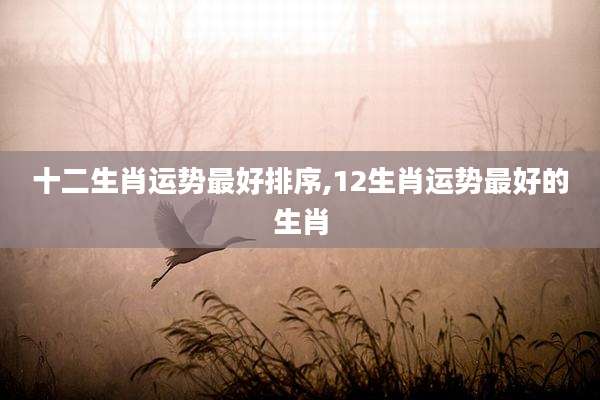 十二生肖运势最好排序,12生肖运势最好的生肖