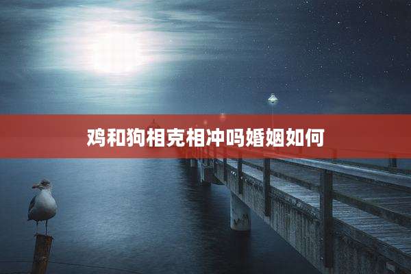 鸡和狗相克相冲吗婚姻如何