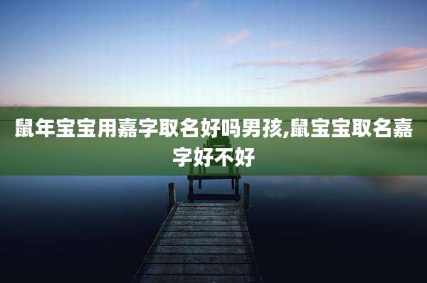 鼠年宝宝用嘉字取名好吗男孩,鼠宝宝取名嘉字好不好