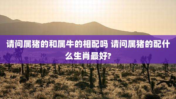 请问属猪的和属牛的相配吗 请问属猪的配什么生肖最好?