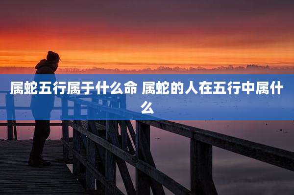 属蛇五行属于什么命 属蛇的人在五行中属什么