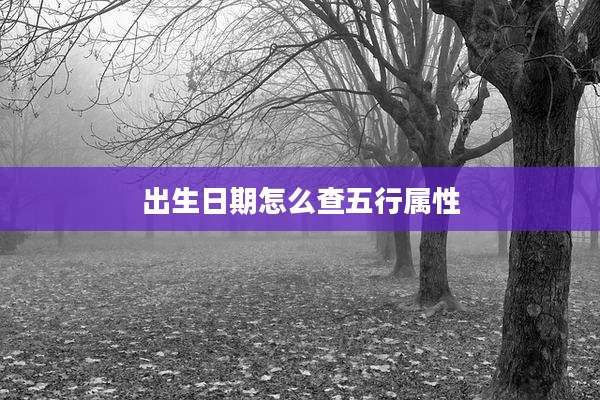 出生日期怎么查五行属性