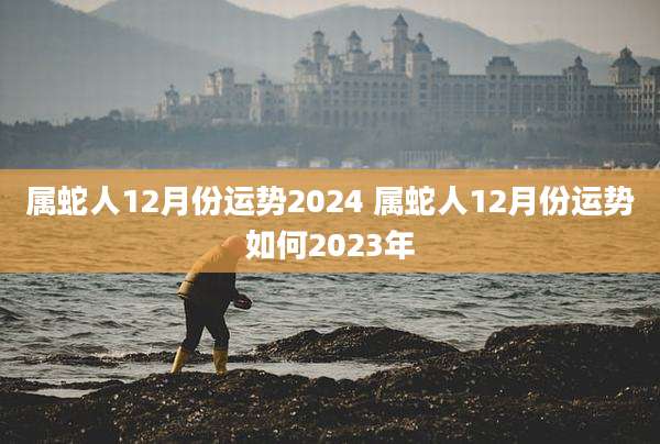 属蛇人12月份运势2024 属蛇人12月份运势如何2023年