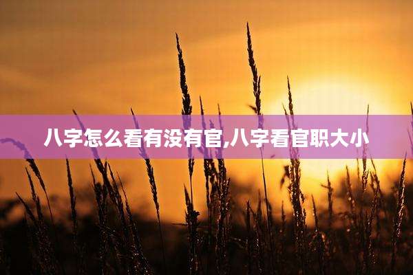 八字怎么看有没有官,八字看官职大小