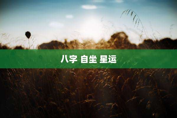八字 自坐 星运