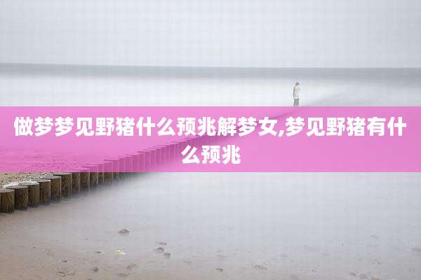 做梦梦见野猪什么预兆解梦女,梦见野猪有什么预兆