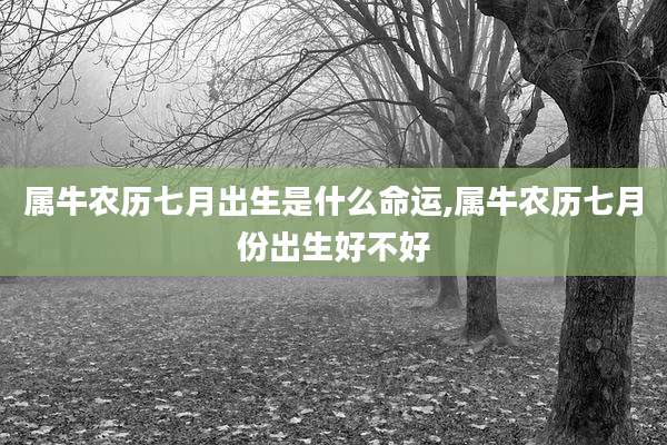 属牛农历七月出生是什么命运,属牛农历七月份出生好不好
