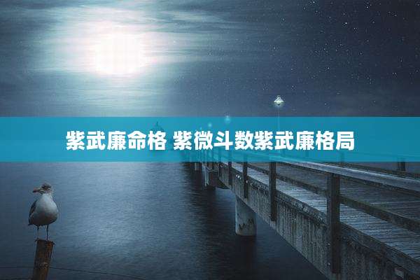 紫武廉命格 紫微斗数紫武廉格局
