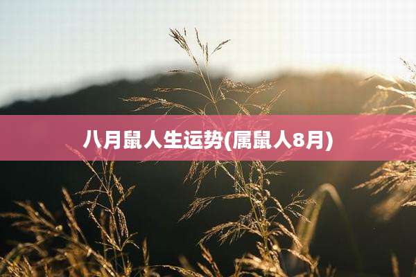 八月鼠人生运势(属鼠人8月)