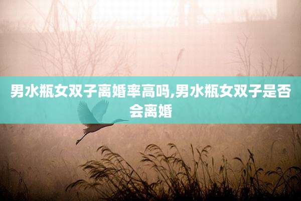 男水瓶女双子离婚率高吗,男水瓶女双子是否会离婚