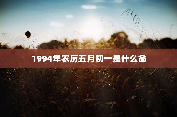 1994年农历五月初一是什么命