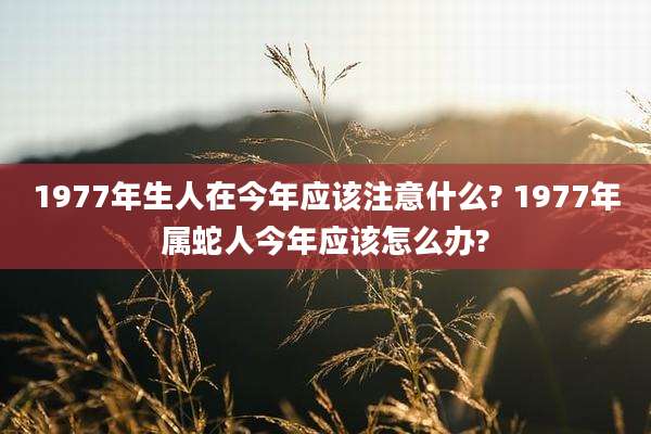 1977年生人在今年应该注意什么? 1977年属蛇人今年应该怎么办?