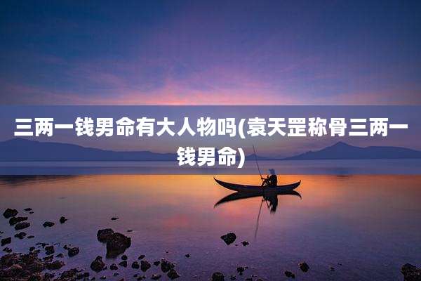 三两一钱男命有大人物吗(袁天罡称骨三两一钱男命)