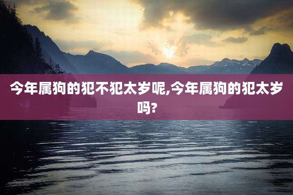 今年属狗的犯不犯太岁呢,今年属狗的犯太岁吗?