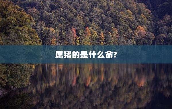 属猪的是什么命?