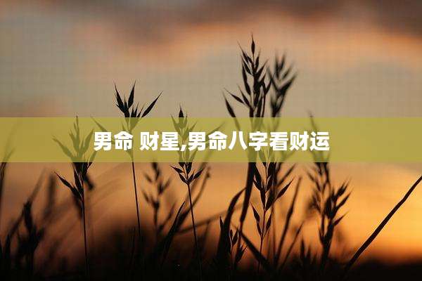 男命 财星,男命八字看财运