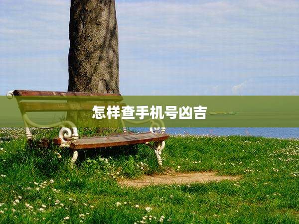 怎样查手机号凶吉