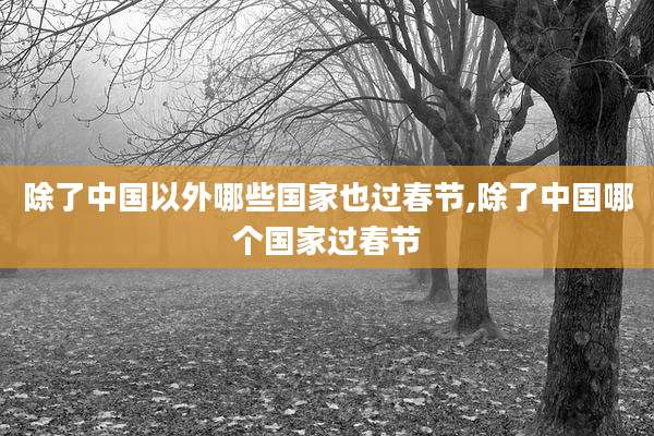 除了中国以外哪些国家也过春节,除了中国哪个国家过春节