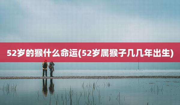 52岁的猴什么命运(52岁属猴子几几年出生)