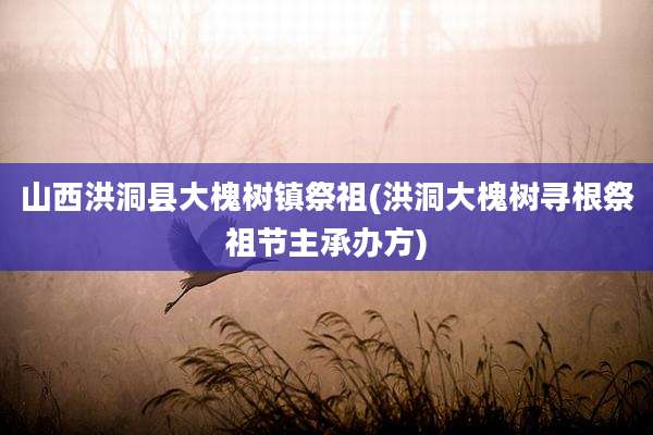 山西洪洞县大槐树镇祭祖(洪洞大槐树寻根祭祖节主承办方)