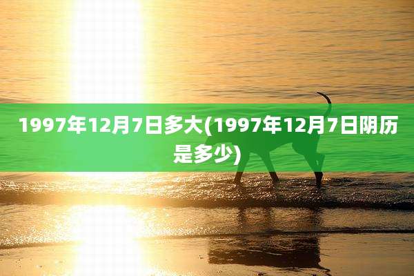 1997年12月7日多大(1997年12月7日阴历是多少)