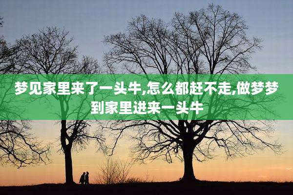 梦见家里来了一头牛,怎么都赶不走,做梦梦到家里进来一头牛