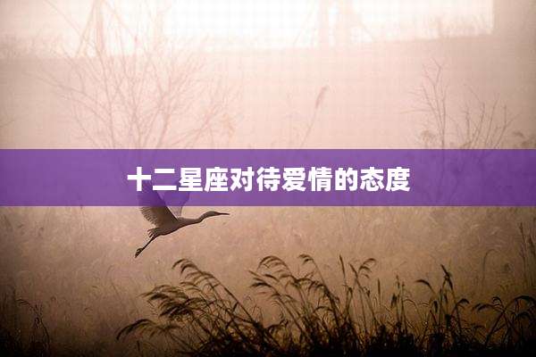 十二星座对待爱情的态度