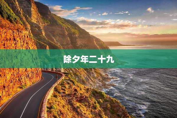 除夕年二十九