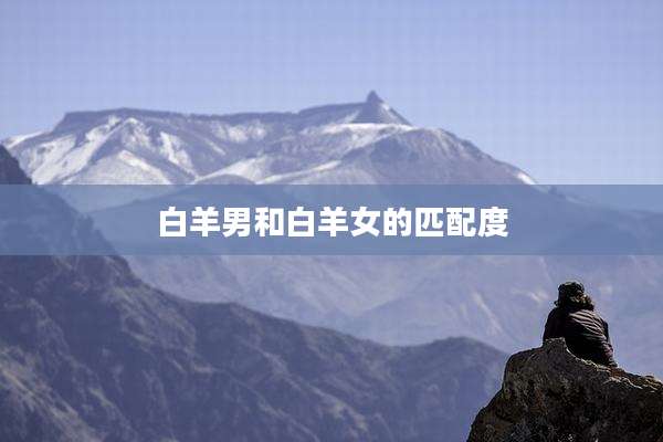 白羊男和白羊女的匹配度