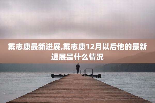 戴志康最新进展,戴志康12月以后他的最新进展是什么情况
